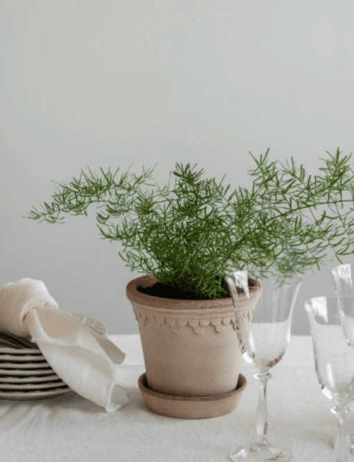 Hovedbilde Bergs Potter Københavner RAW Rosa 